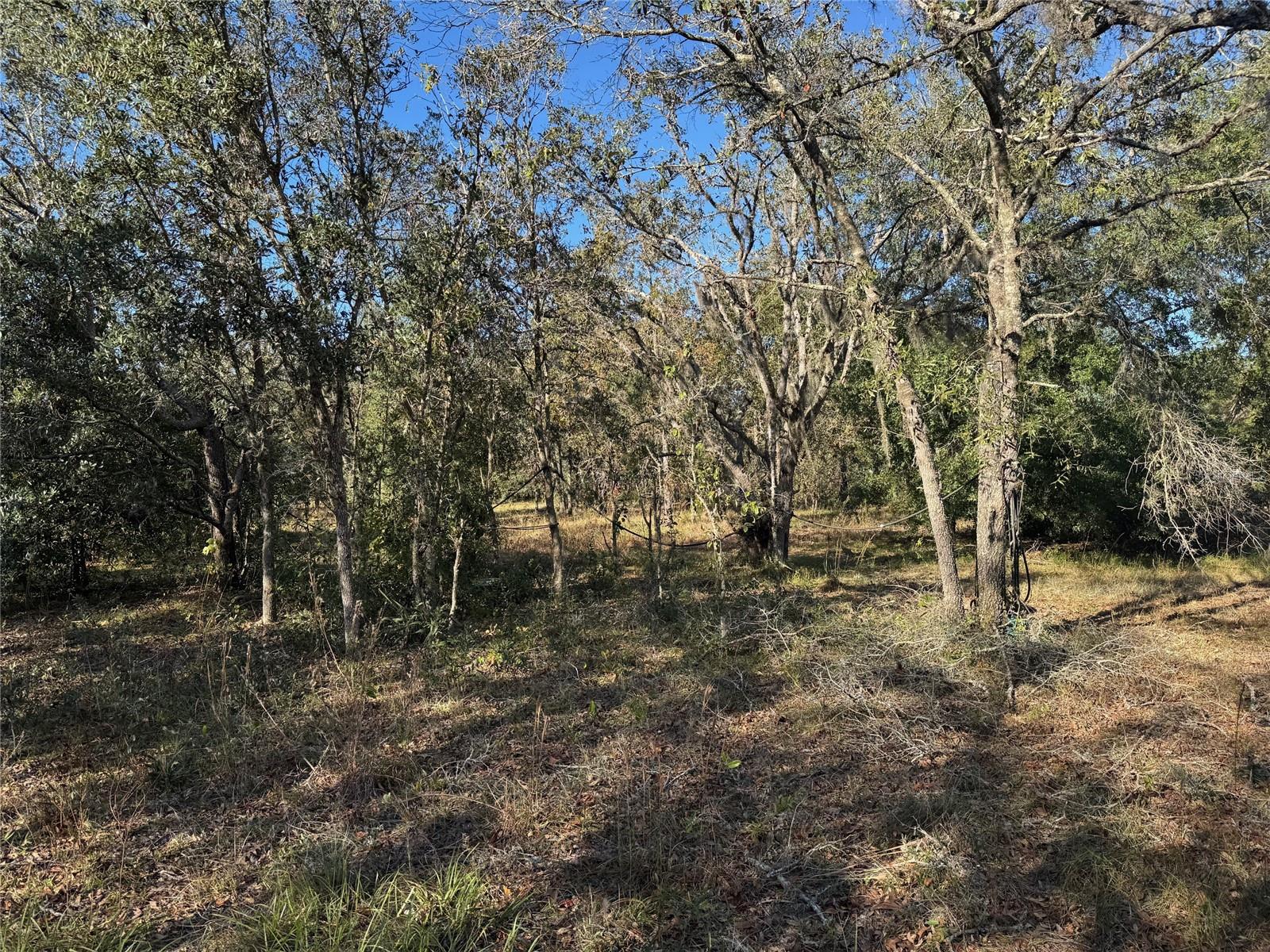 ACRE WAY, HUDSON, FL, 34669