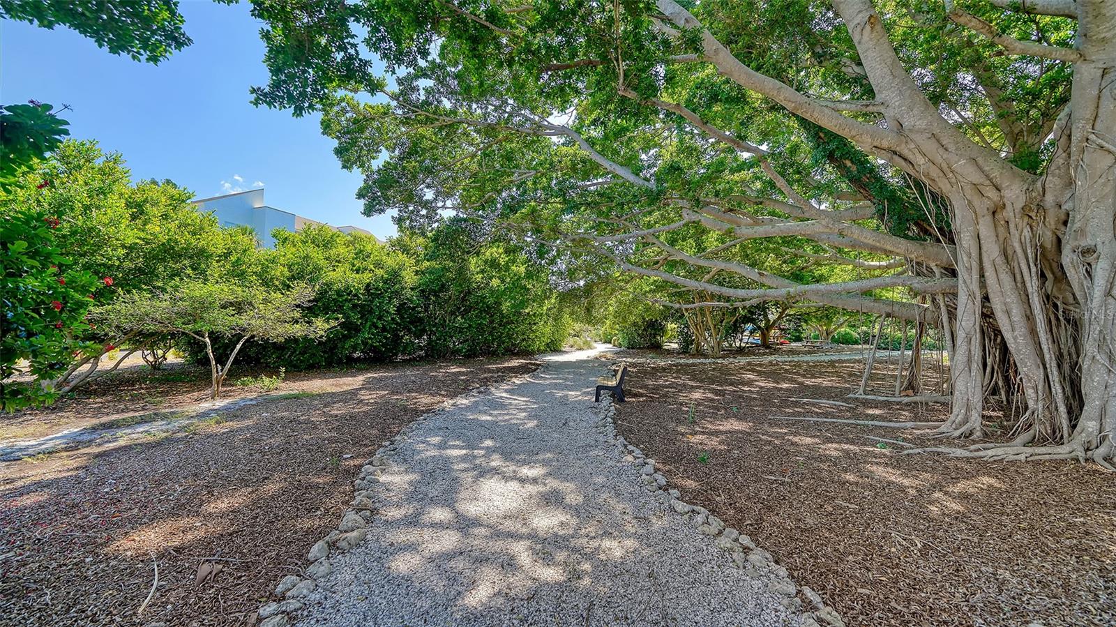 4500 GULF OF MEXICO DR #205, LONGBOAT KEY, FL, 34228