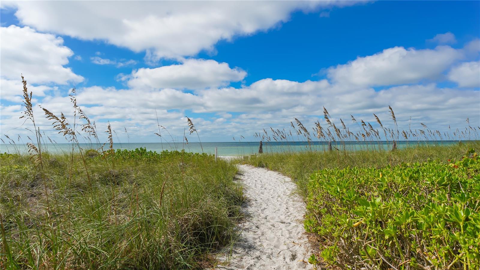 4500 GULF OF MEXICO DR #205, LONGBOAT KEY, FL, 34228