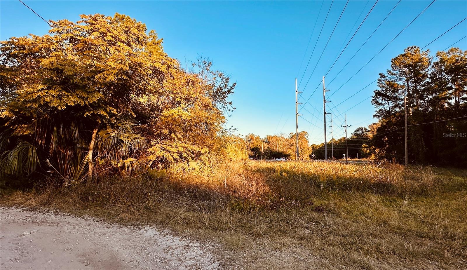 1004 SE 13TH AVE, GAINESVILLE, FL, 32601