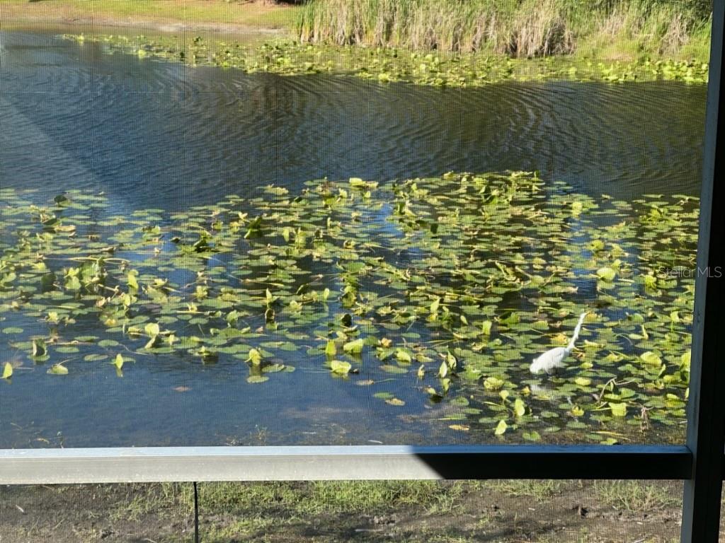 4518 WATCH HILL RD, ORLANDO, FL, 32808