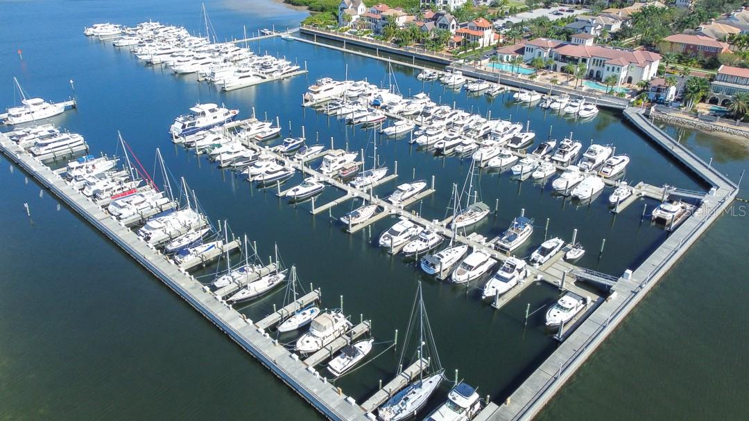 5808 YEATS MANOR DR, TAMPA, FL, 33616