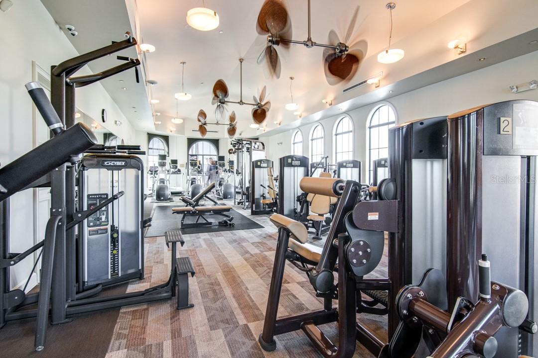 5808 YEATS MANOR DR, TAMPA, FL, 33616