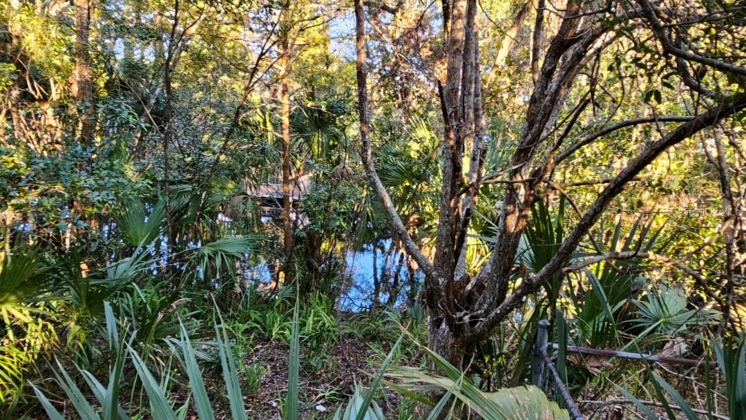 3117 S BUCKLEY PT, INVERNESS, FL, 34450