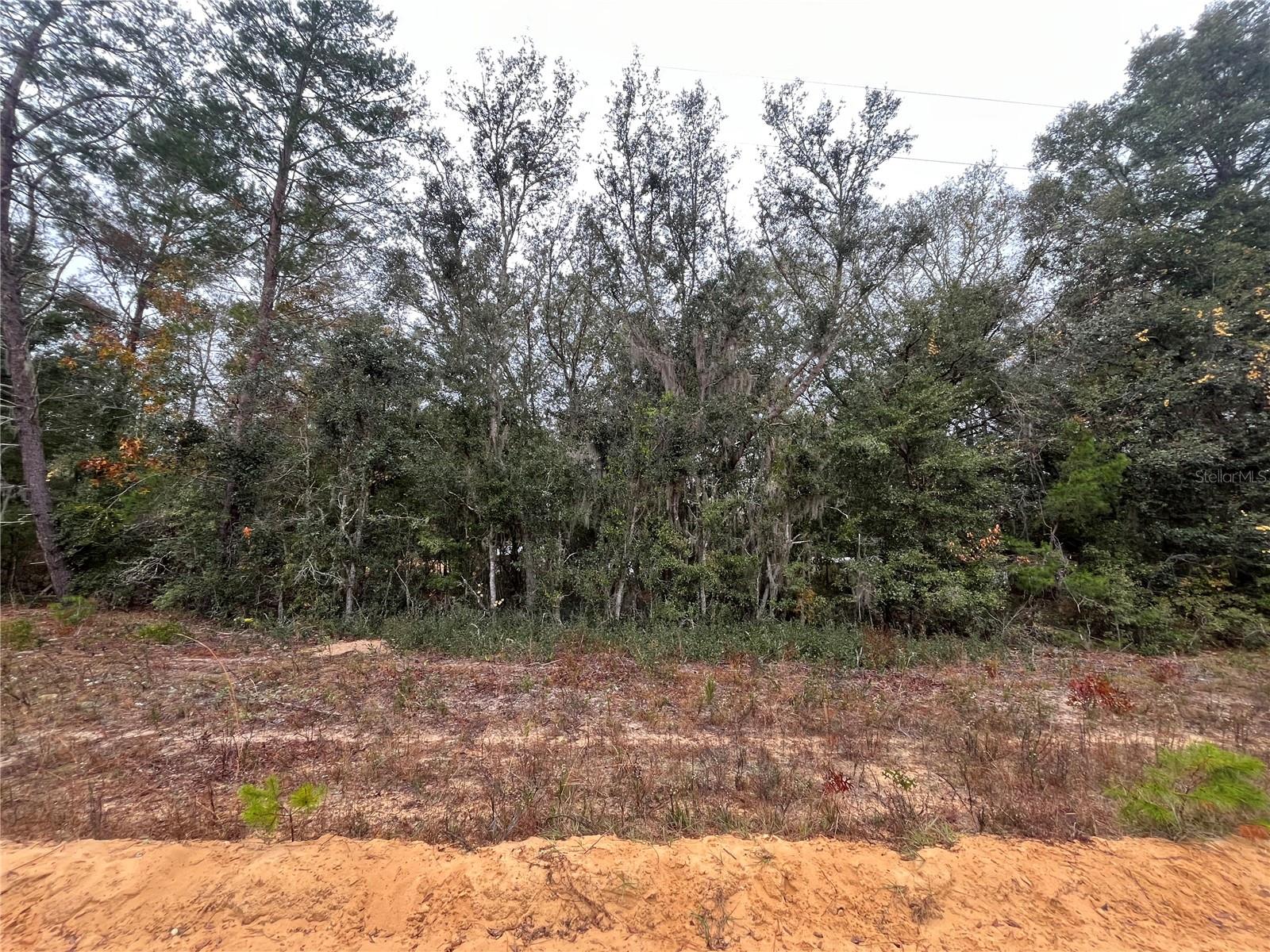 NEISMAN, INTERLACHEN, FL, 32148