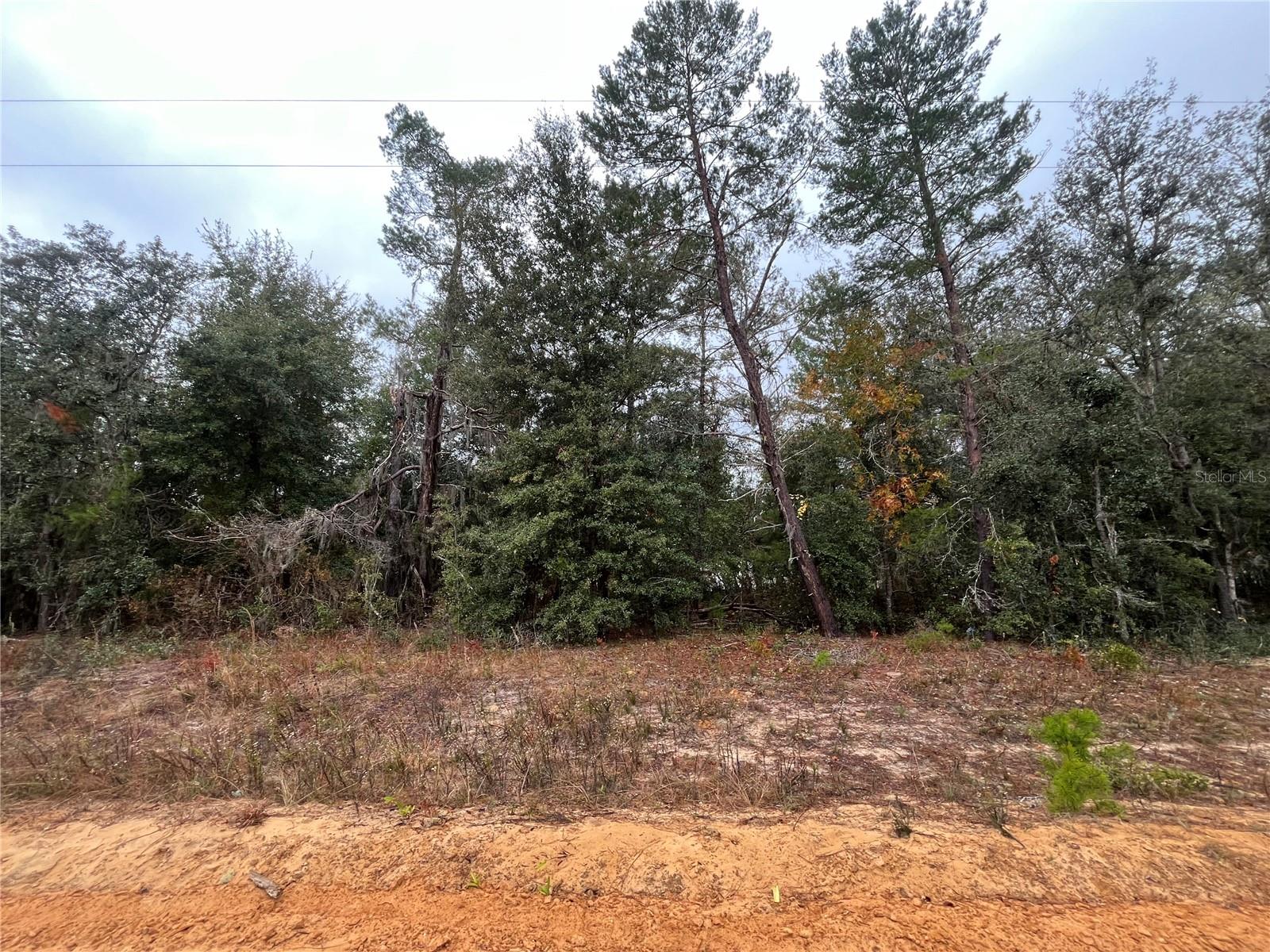 NEISMAN, INTERLACHEN, FL, 32148