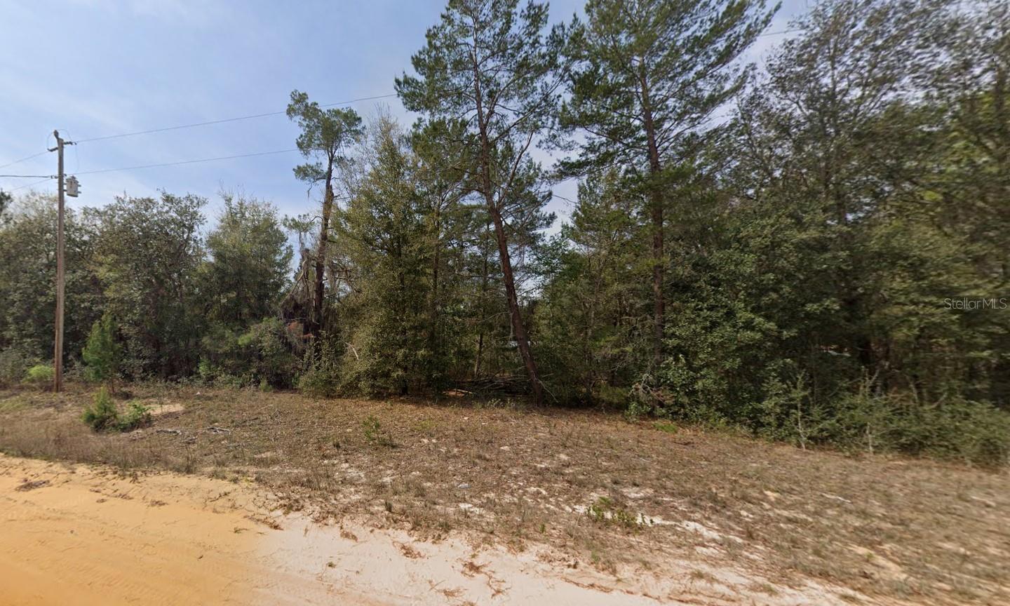 NEISMAN, INTERLACHEN, FL, 32148