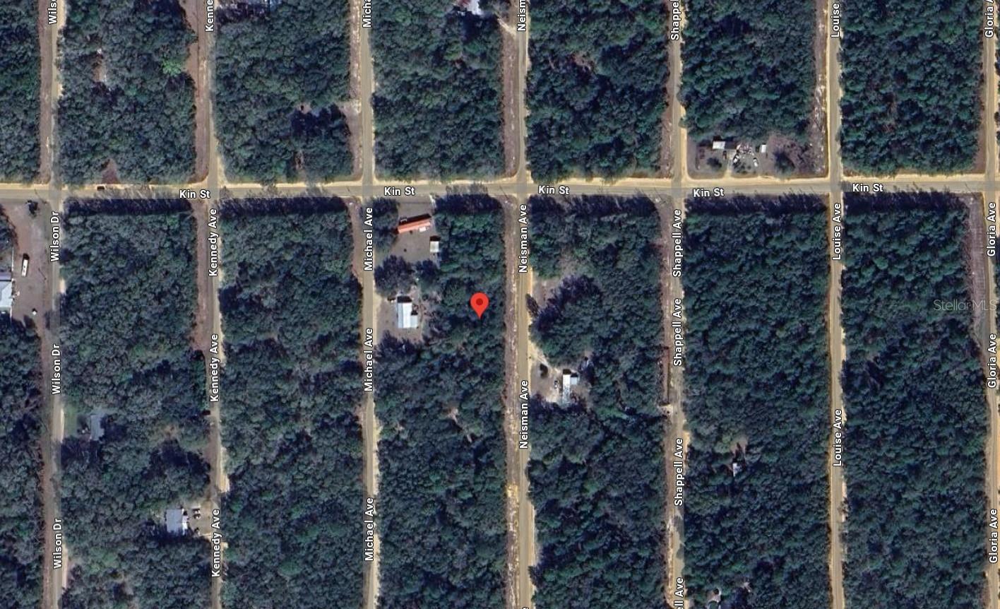 NEISMAN, INTERLACHEN, FL, 32148