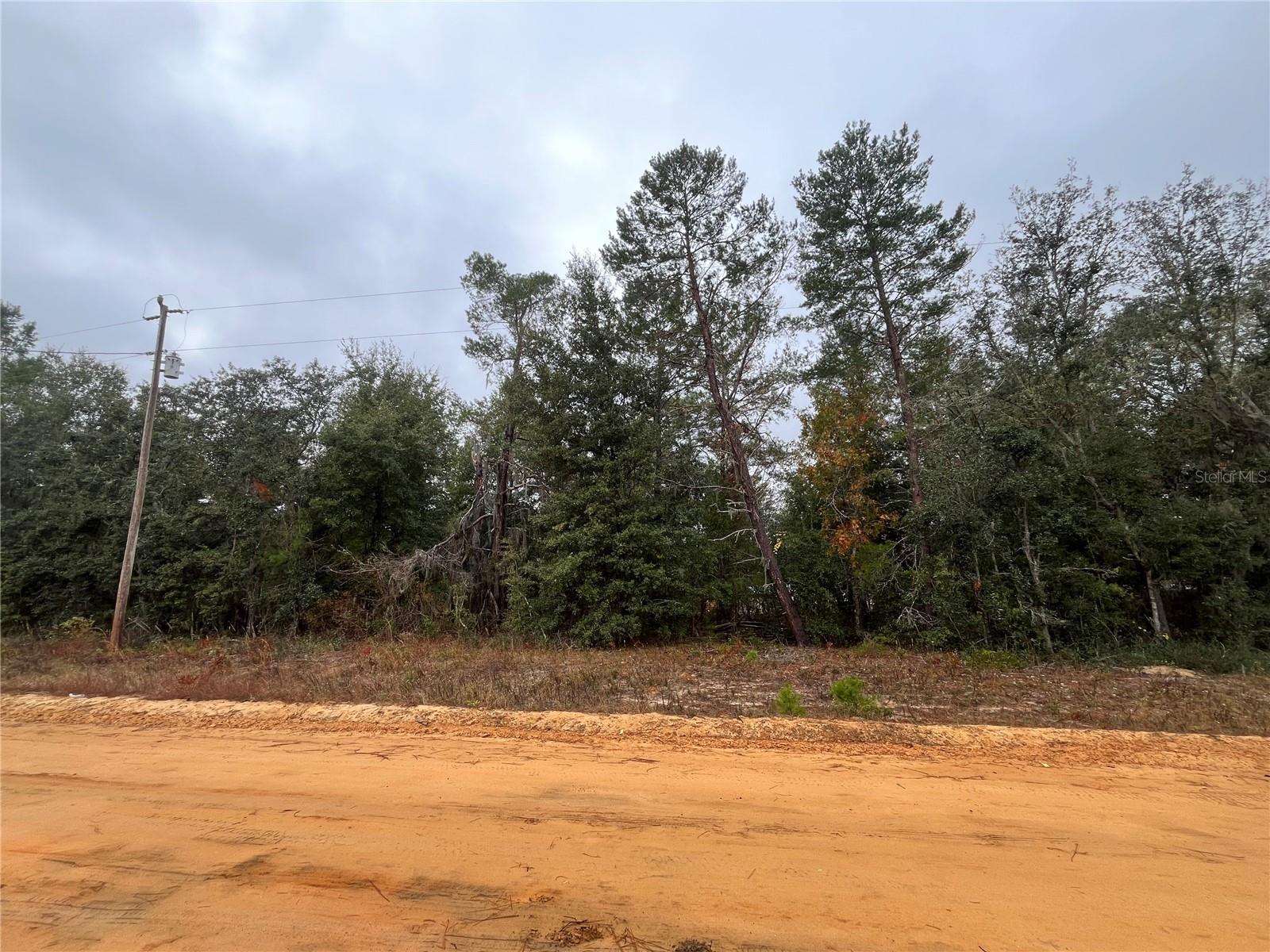 NEISMAN, INTERLACHEN, FL, 32148