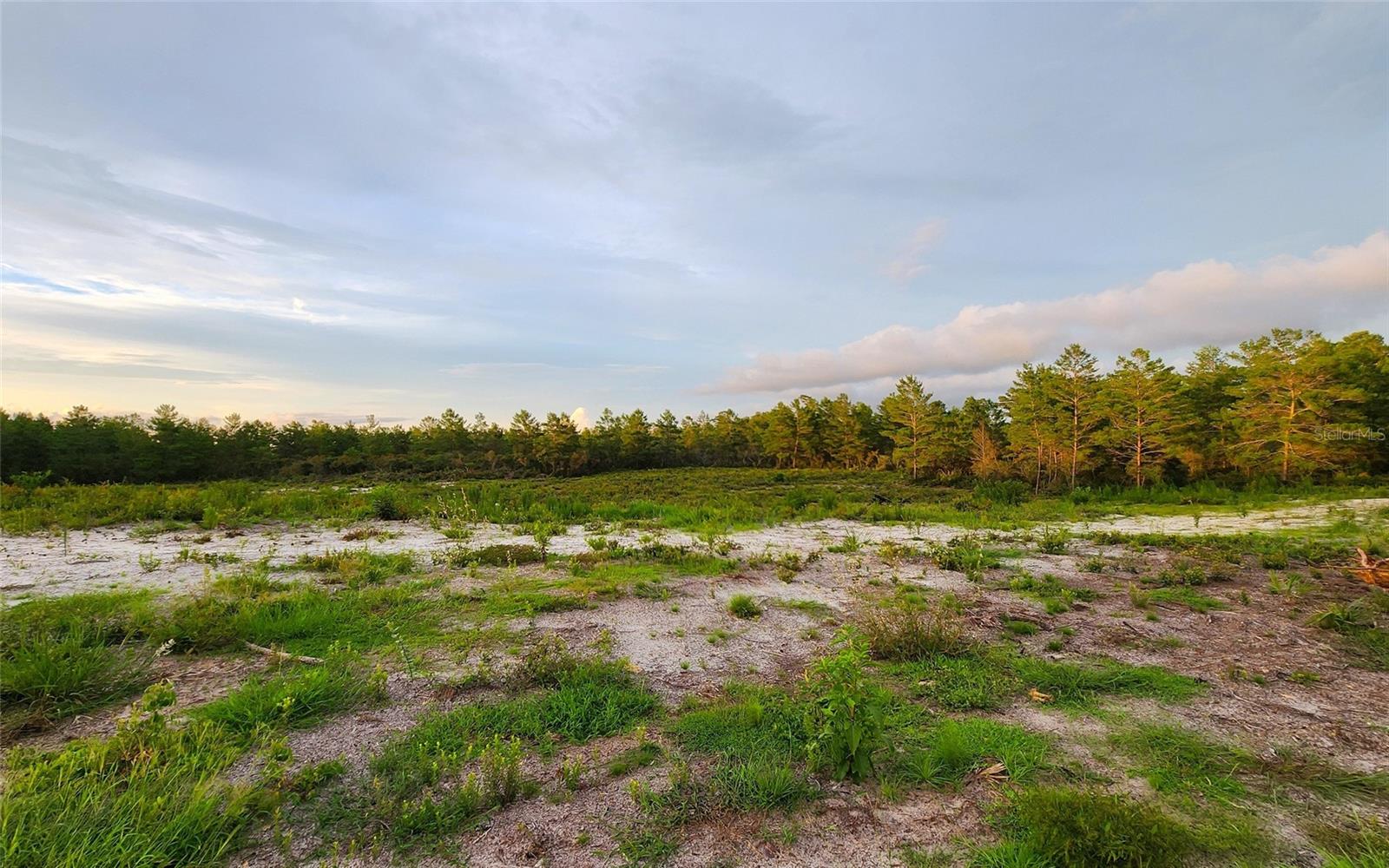 4521 W GALLAGHER ST, DUNNELLON, FL, 34433