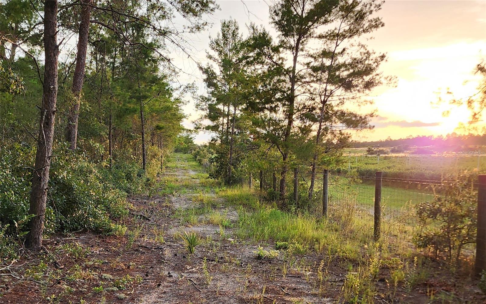 4521 W GALLAGHER ST, DUNNELLON, FL, 34433