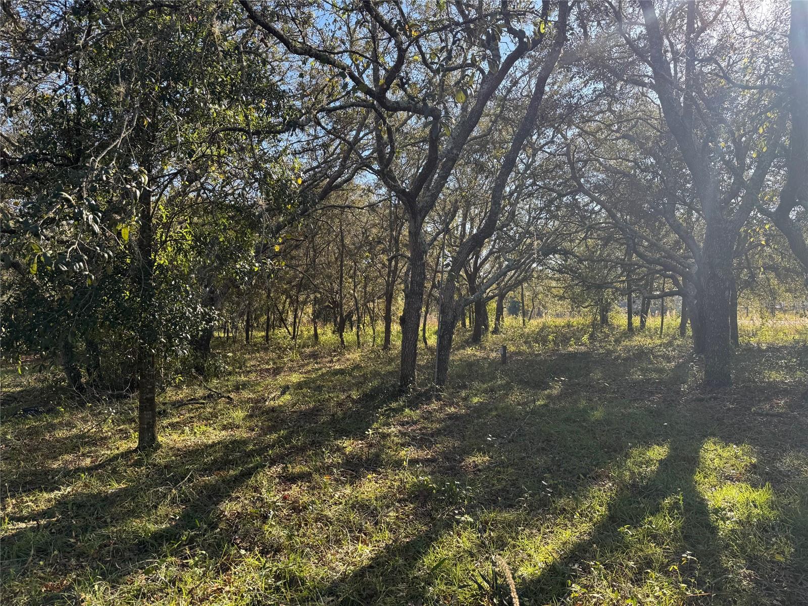 ACRE WAY, HUDSON, FL, 34669