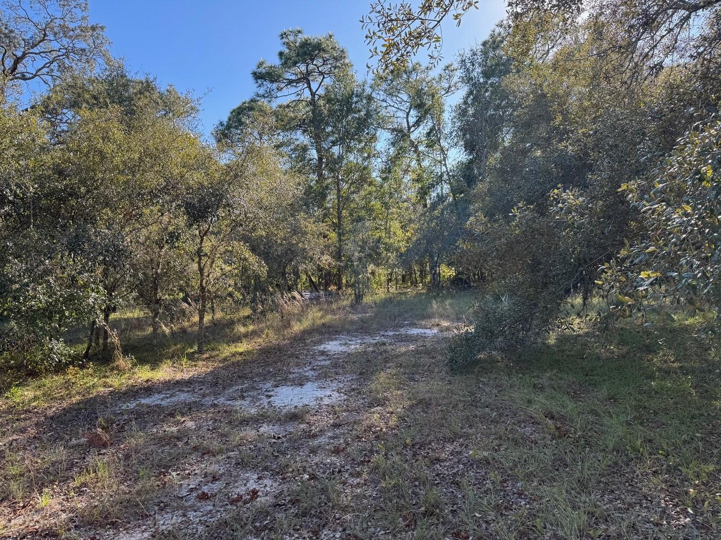 ACRE WAY, HUDSON, FL, 34669