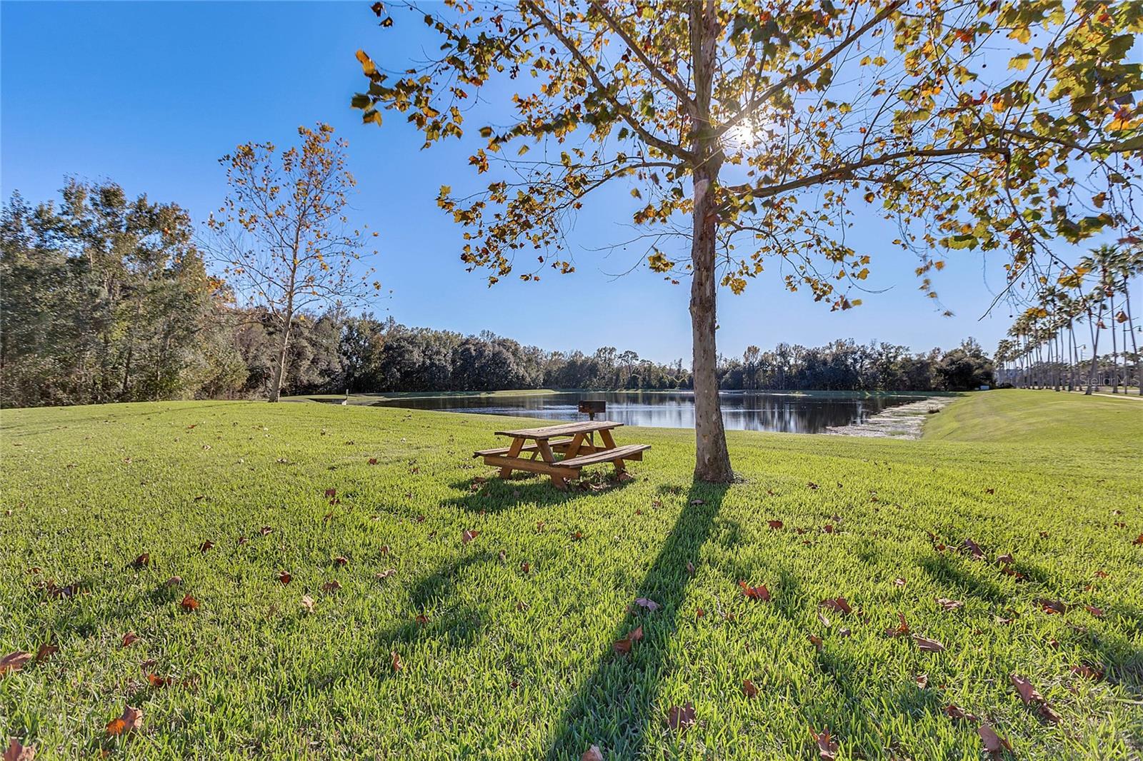 1054 WATERSIDE DR, CELEBRATION, FL, 34747