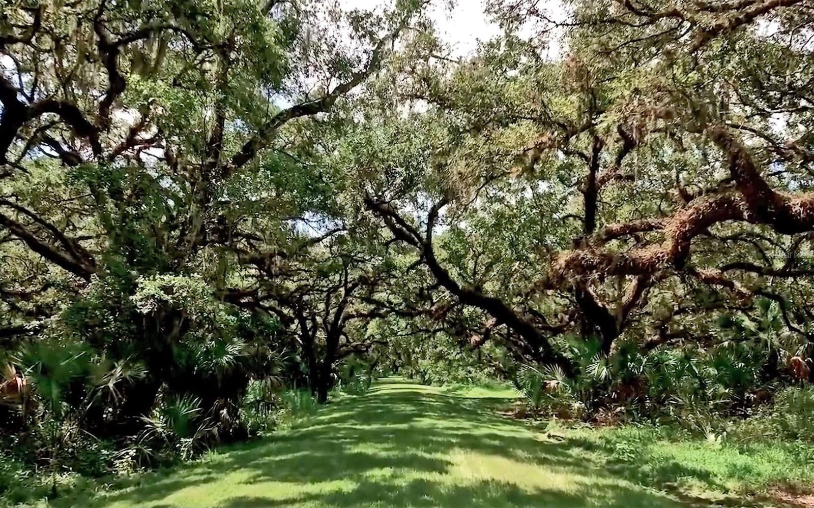 A4630642 Property Photo