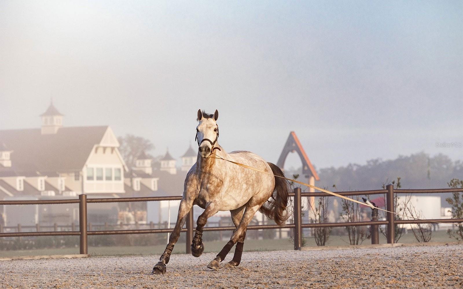 A4630642 Property Photo