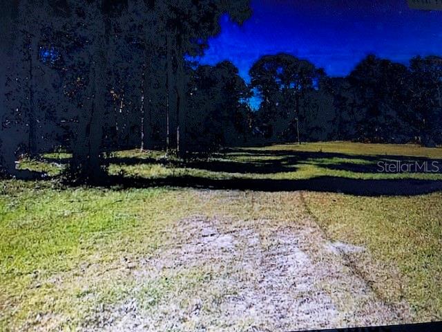 1260 SAINT CATHERINE AVE, CHRISTMAS, FL, 32709