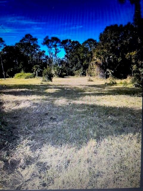 1260 SAINT CATHERINE AVE, CHRISTMAS, FL, 32709