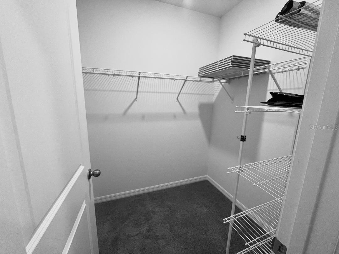 32847 PEZ LANDING LN, WESLEY CHAPEL, FL, 33543