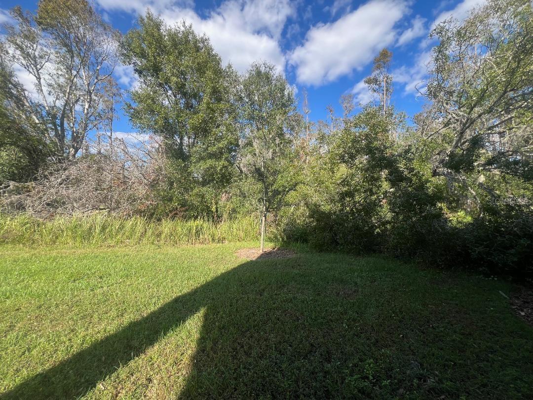 32847 PEZ LANDING LN, WESLEY CHAPEL, FL, 33543