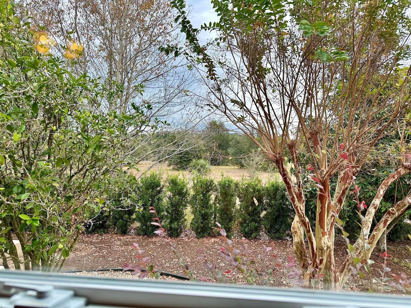 558 SAINT ANDREWS BLVD, THE VILLAGES, FL, 32159