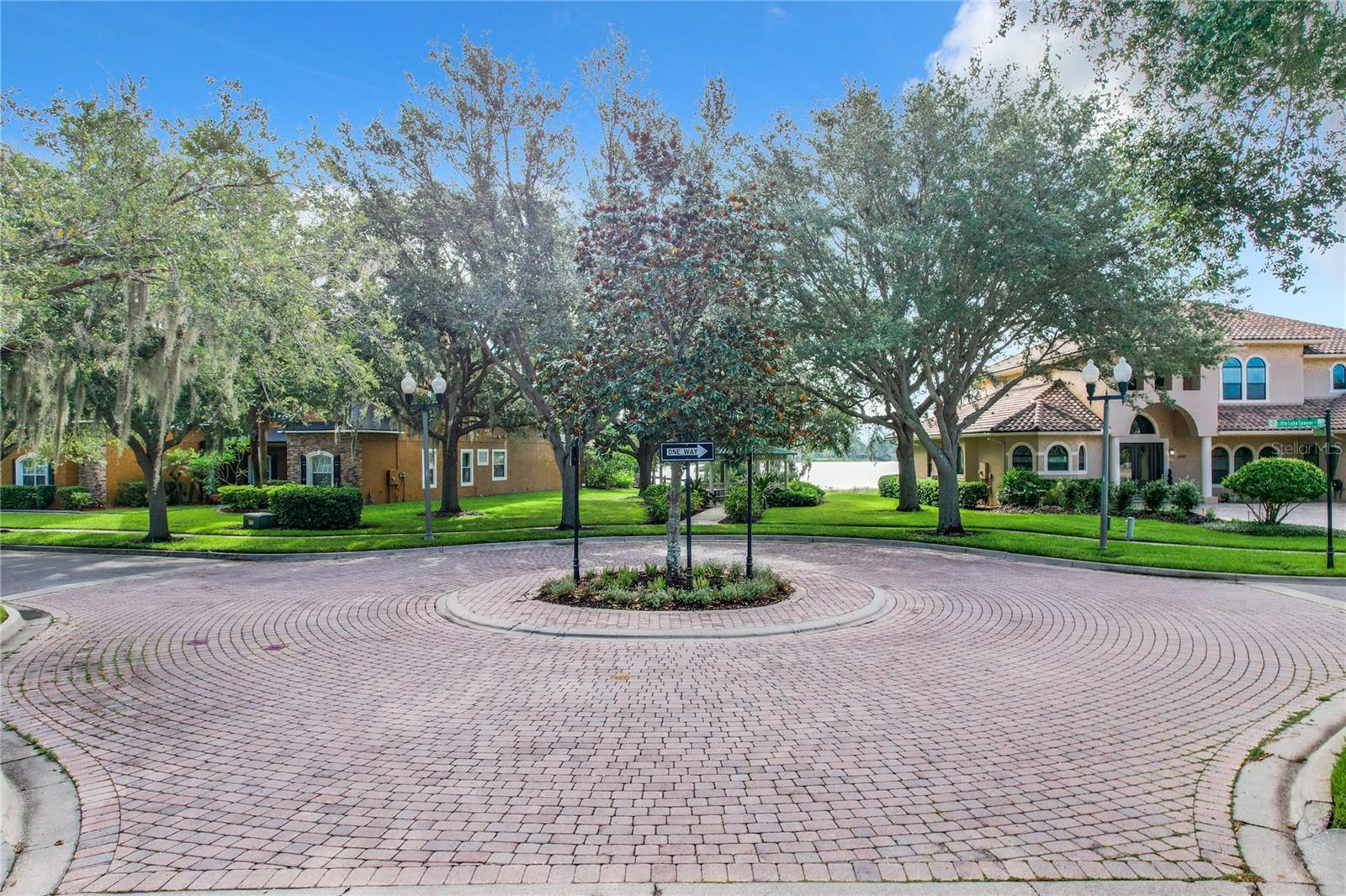 6245 LITTLE LAKE SAWYER DR, WINDERMERE, FL, 34786