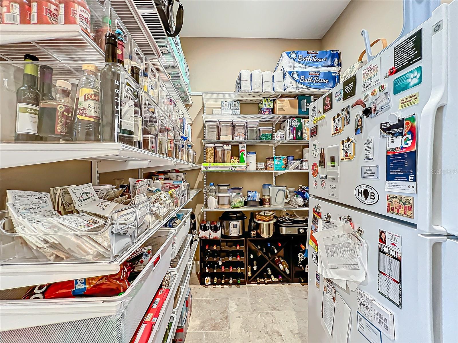 6245 LITTLE LAKE SAWYER DR, WINDERMERE, FL, 34786
