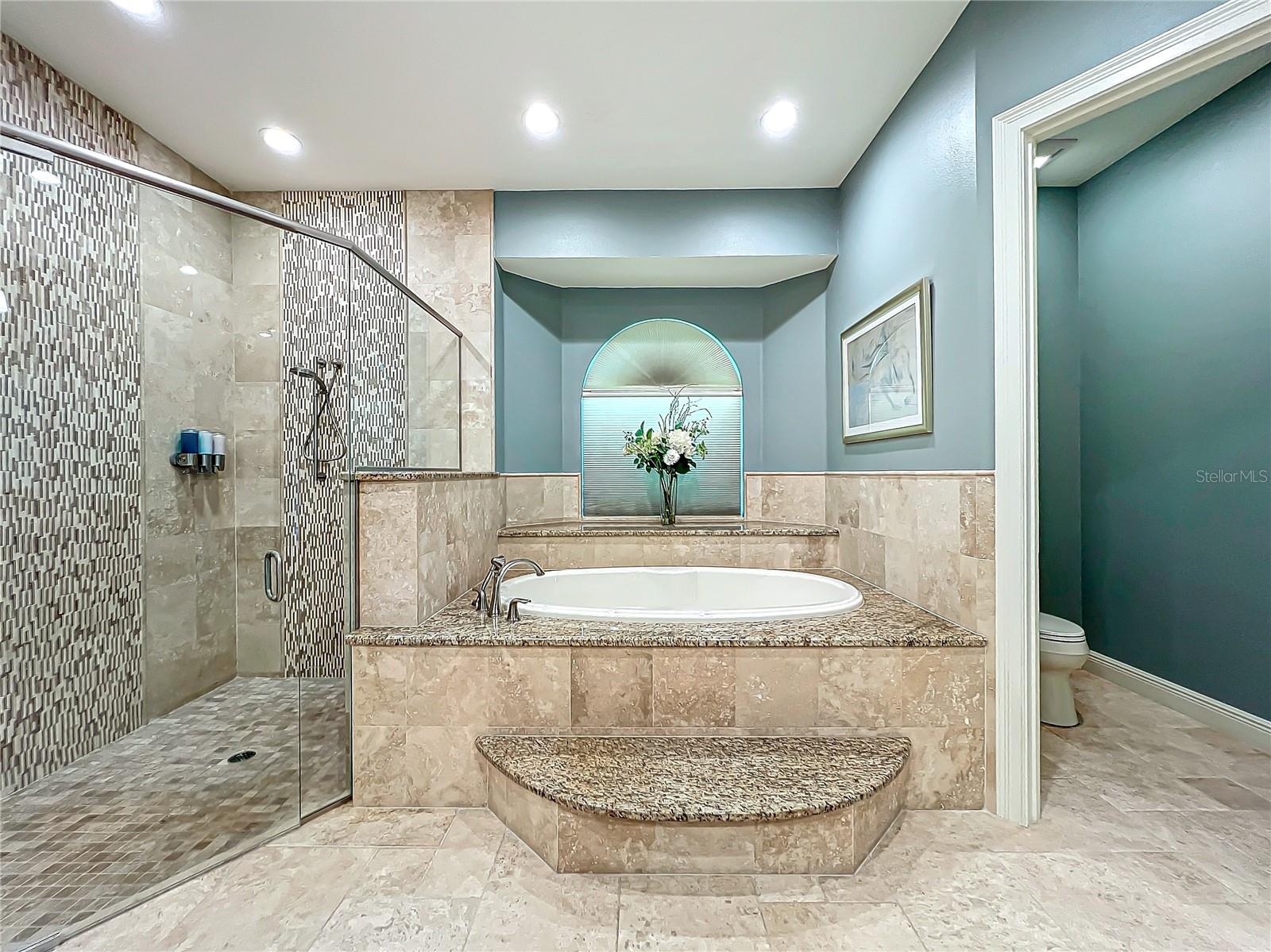 6245 LITTLE LAKE SAWYER DR, WINDERMERE, FL, 34786