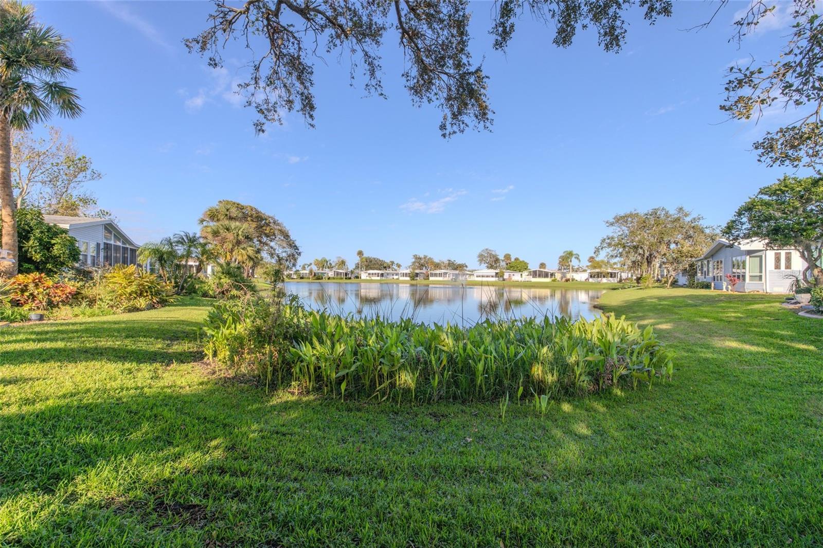 705 CHARTER LN, EDGEWATER, FL, 32141