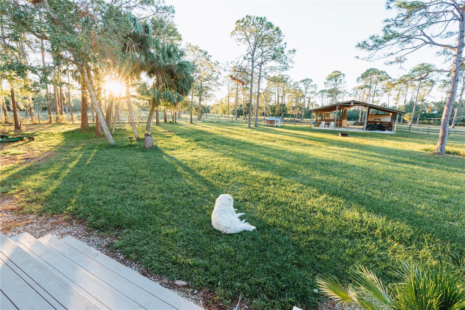 240 SNYDER DR, VENICE, FL, 34292