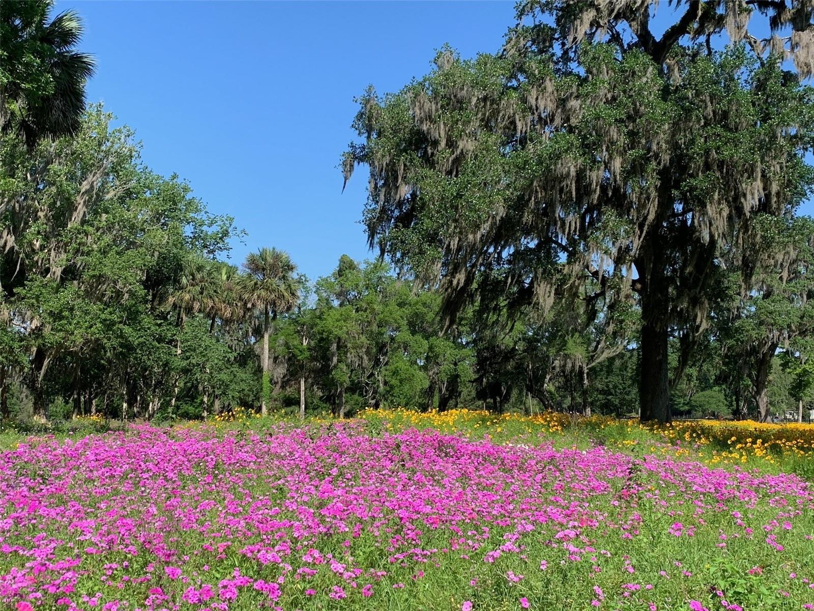 10795 SE 25TH AVE, OCALA, FL, 34480