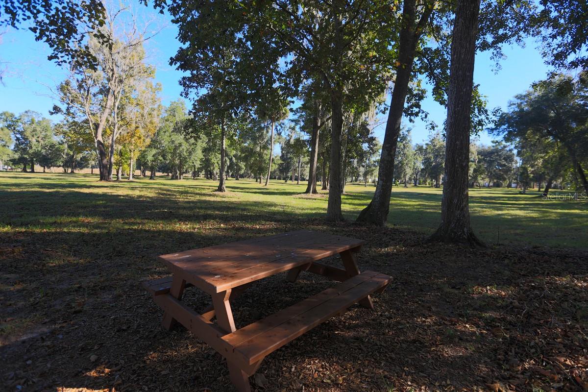 10795 SE 25TH AVE, OCALA, FL, 34480