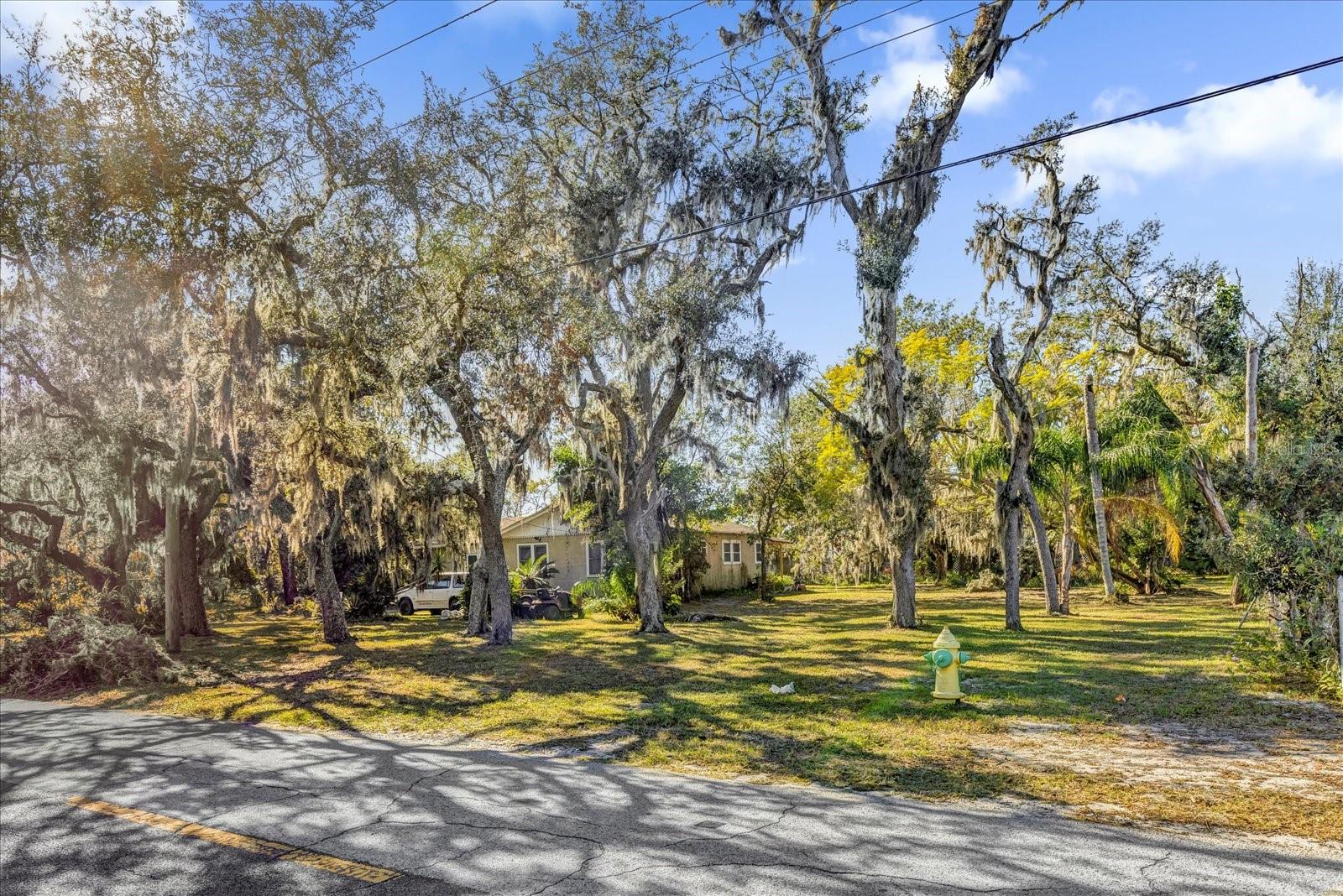 1511 OLD SYDNEY RD, PLANT CITY, FL, 33563