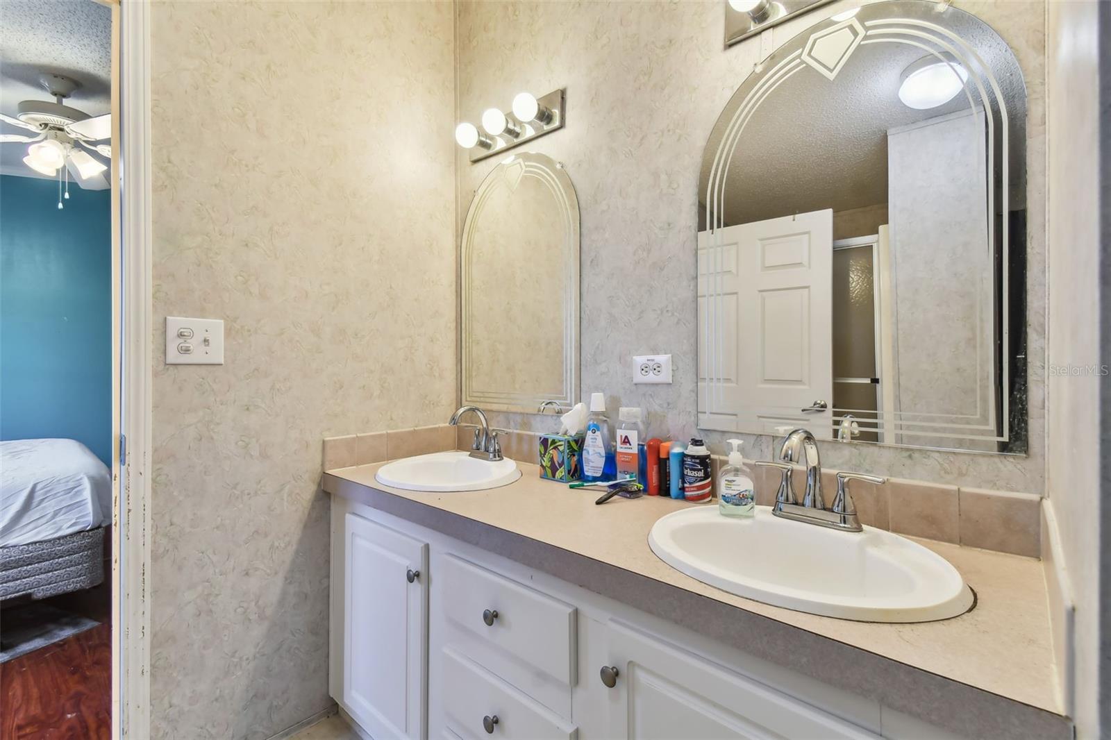 8532 FANTASIA PARK WAY, RIVERVIEW, FL, 33578