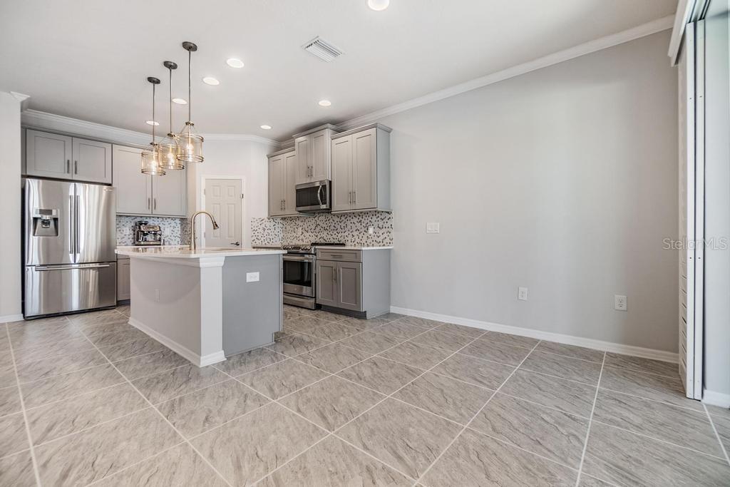 33153 SHADOW BRANCH LN, WESLEY CHAPEL, FL, 33545