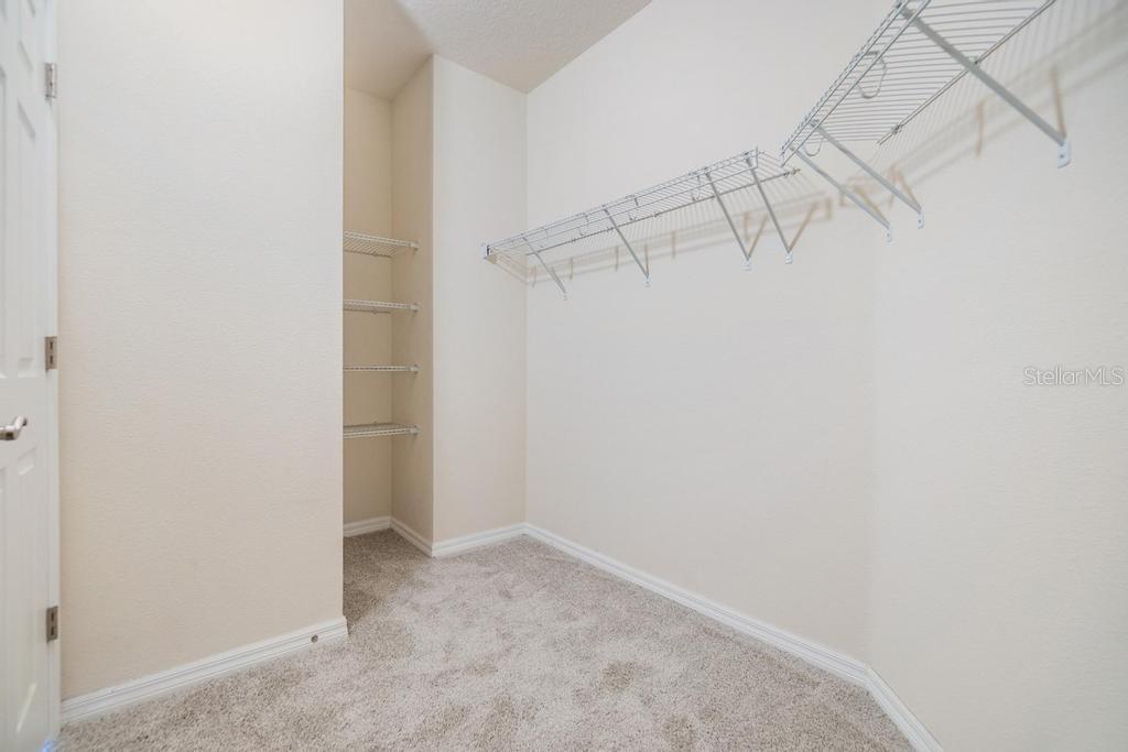 33153 SHADOW BRANCH LN, WESLEY CHAPEL, FL, 33545