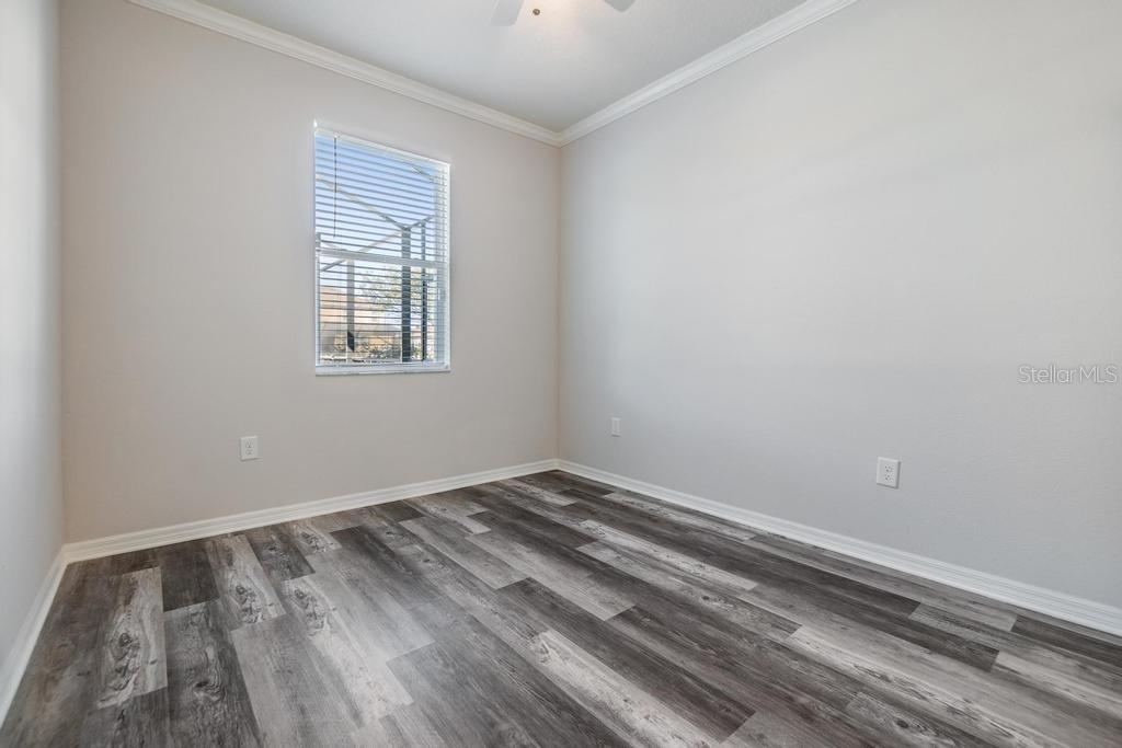 33153 SHADOW BRANCH LN, WESLEY CHAPEL, FL, 33545