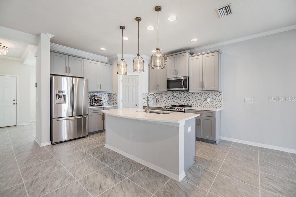 33153 SHADOW BRANCH LN, WESLEY CHAPEL, FL, 33545