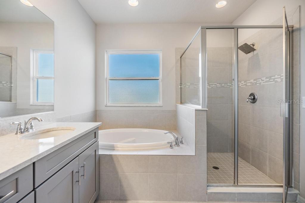 33153 SHADOW BRANCH LN, WESLEY CHAPEL, FL, 33545