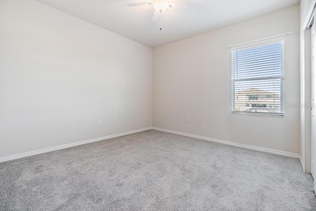 33153 SHADOW BRANCH LN, WESLEY CHAPEL, FL, 33545