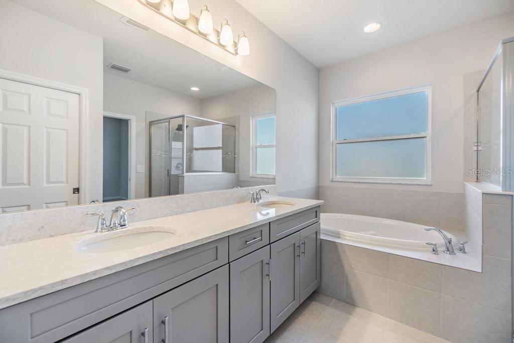 33153 SHADOW BRANCH LN, WESLEY CHAPEL, FL, 33545