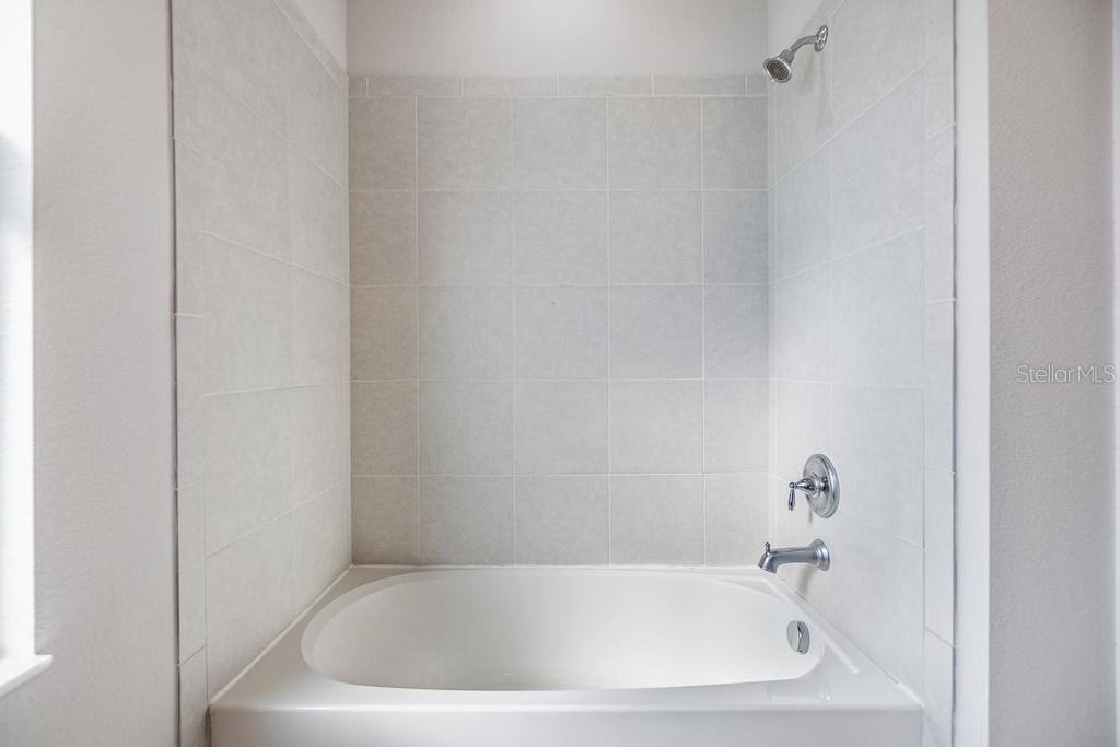 33153 SHADOW BRANCH LN, WESLEY CHAPEL, FL, 33545