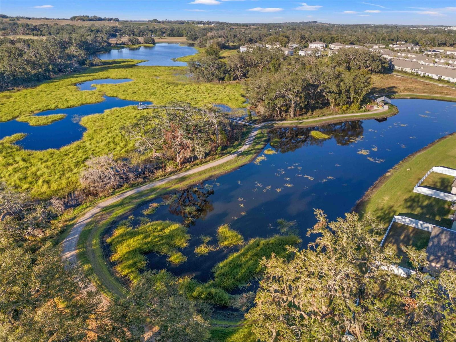 6688 BACK FORTY LOOP, ZEPHYRHILLS, FL, 33541
