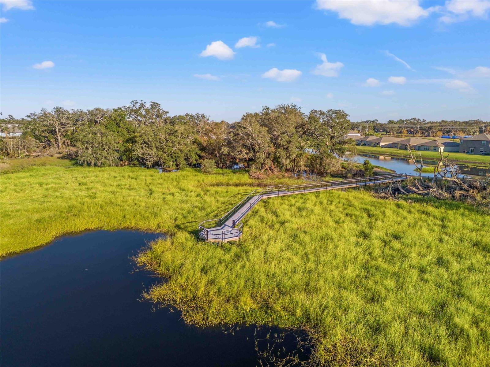 6688 BACK FORTY LOOP, ZEPHYRHILLS, FL, 33541