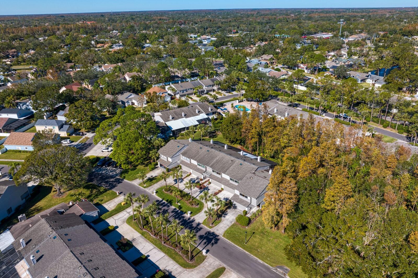 4253 GOLF CLUB LN, TAMPA, FL, 33618