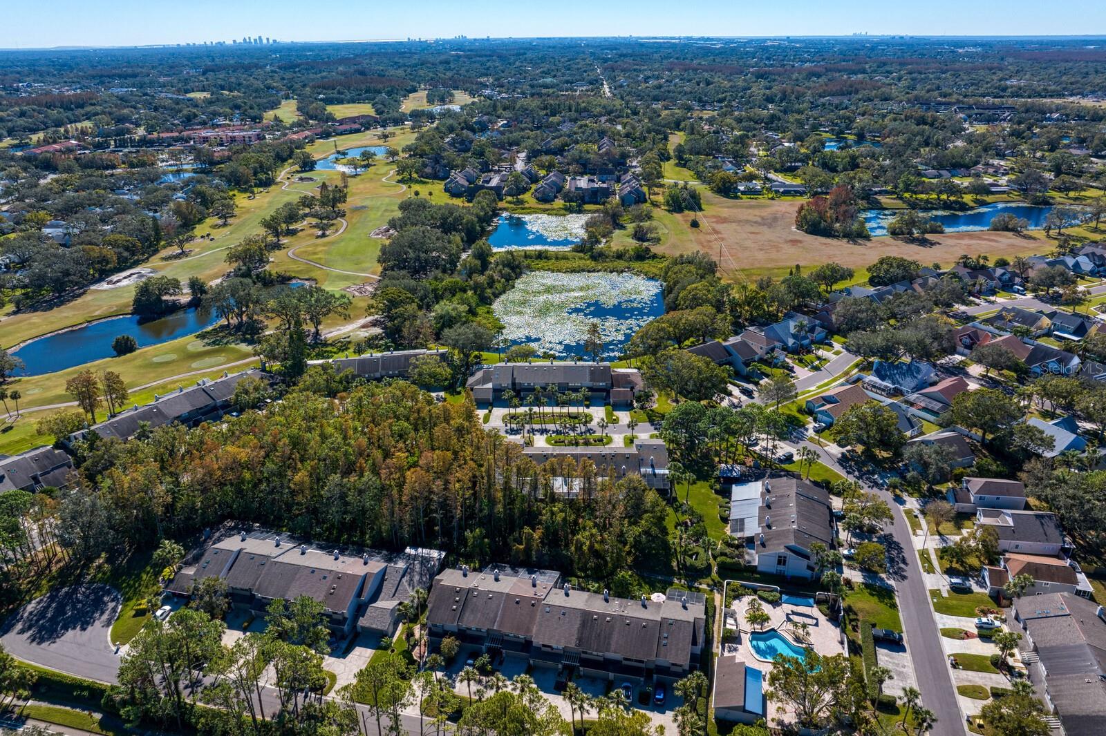 4253 GOLF CLUB LN, TAMPA, FL, 33618
