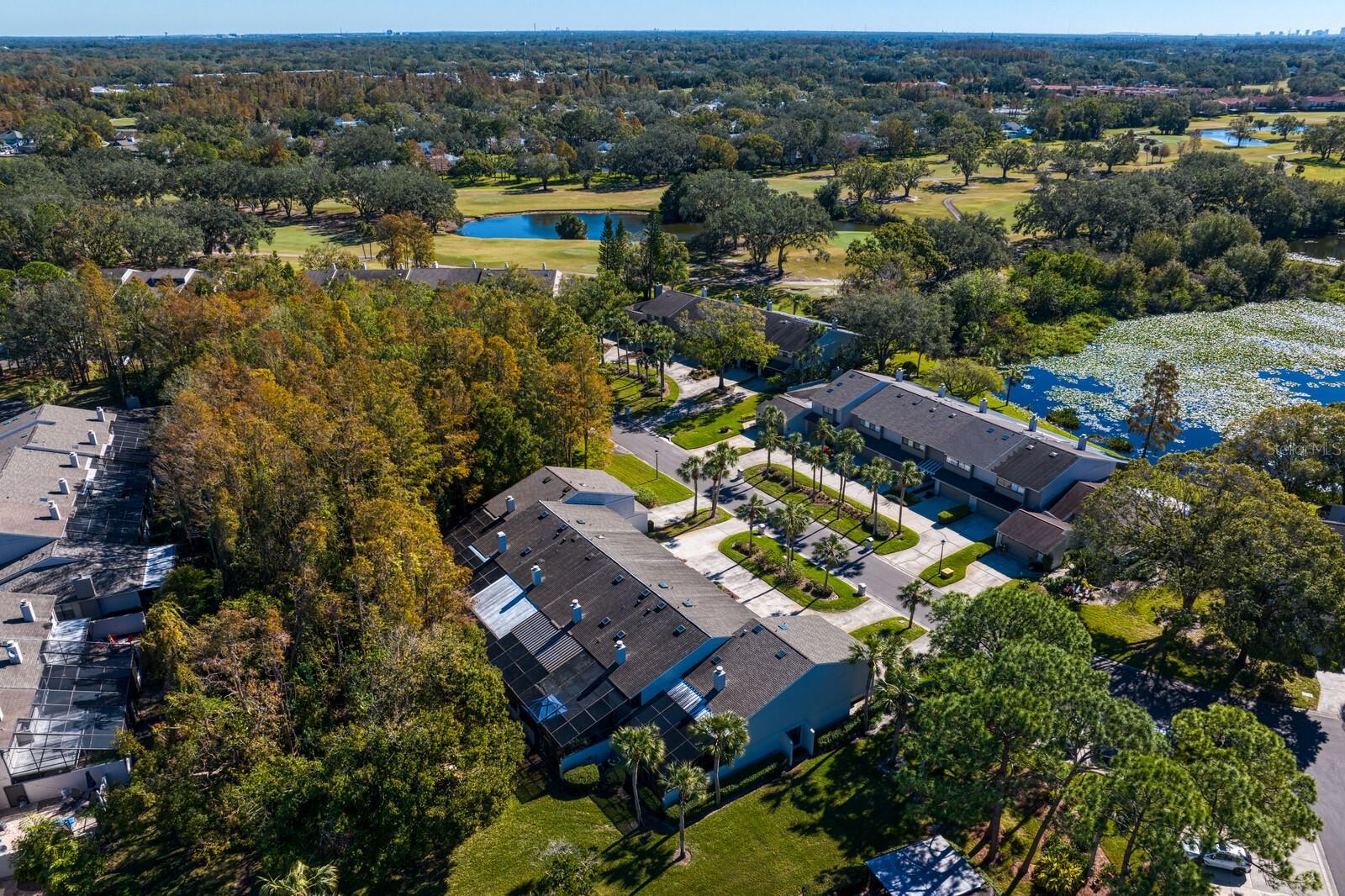 4253 GOLF CLUB LN, TAMPA, FL, 33618