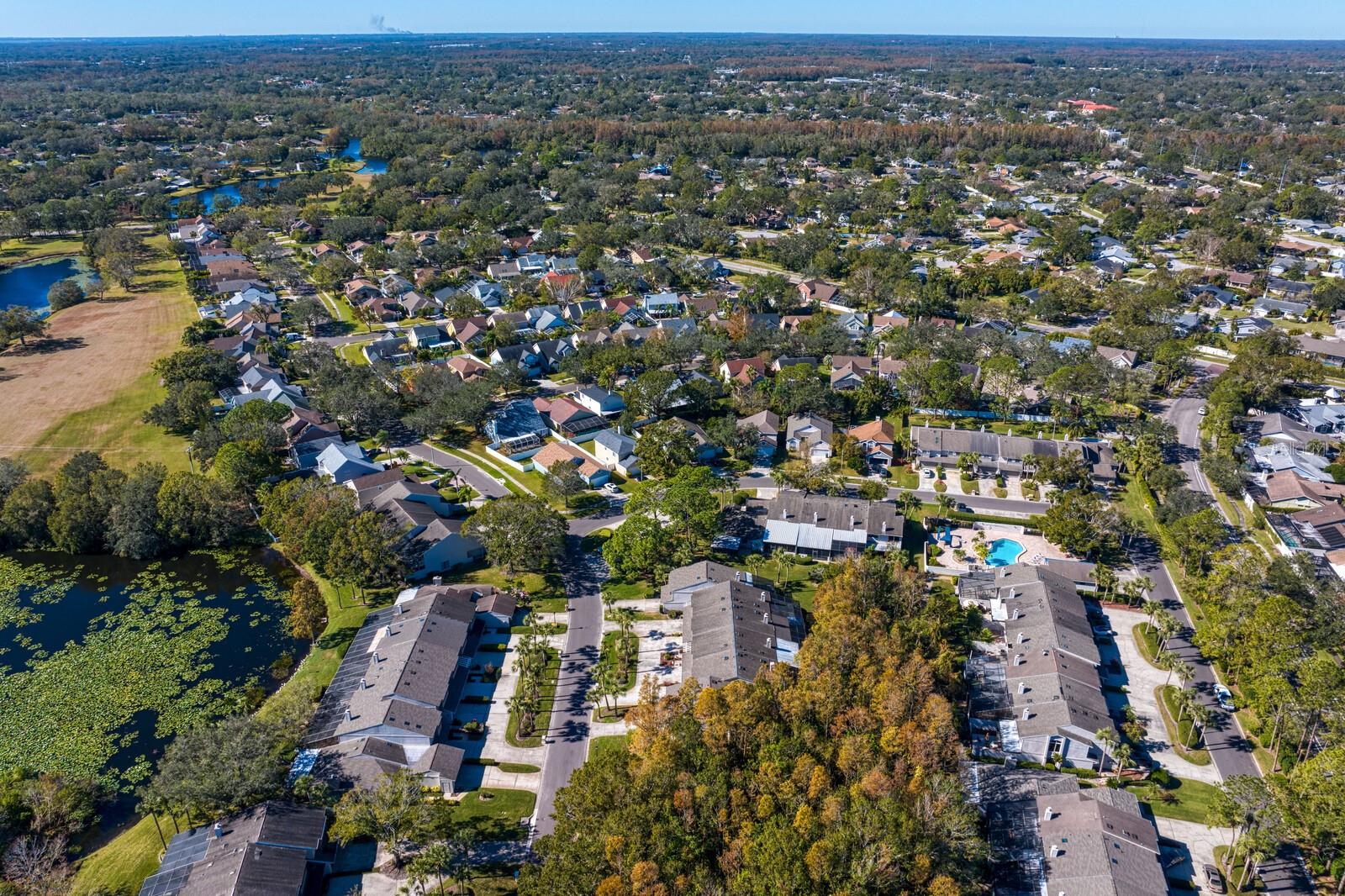 4253 GOLF CLUB LN, TAMPA, FL, 33618