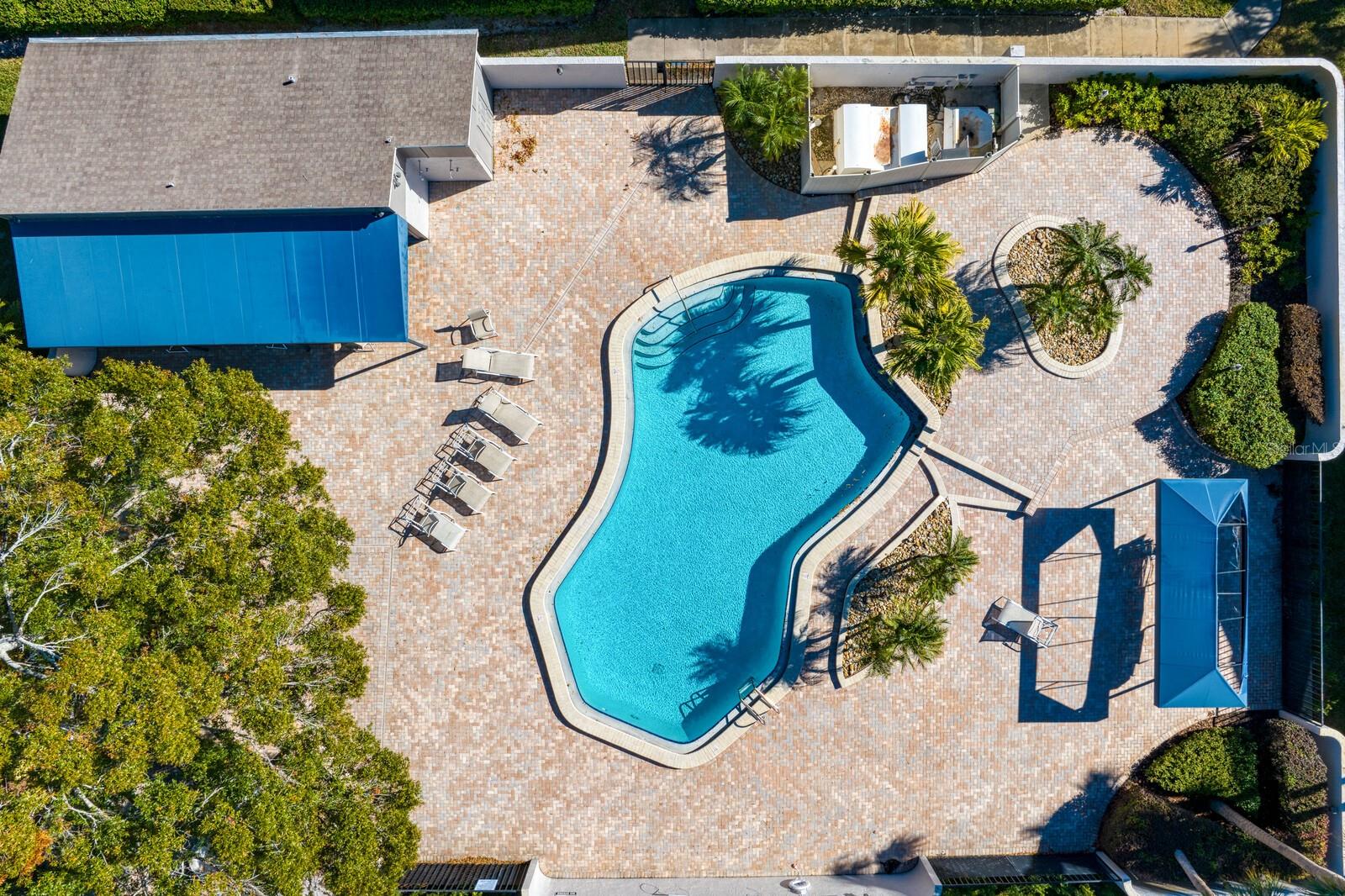4253 GOLF CLUB LN, TAMPA, FL, 33618