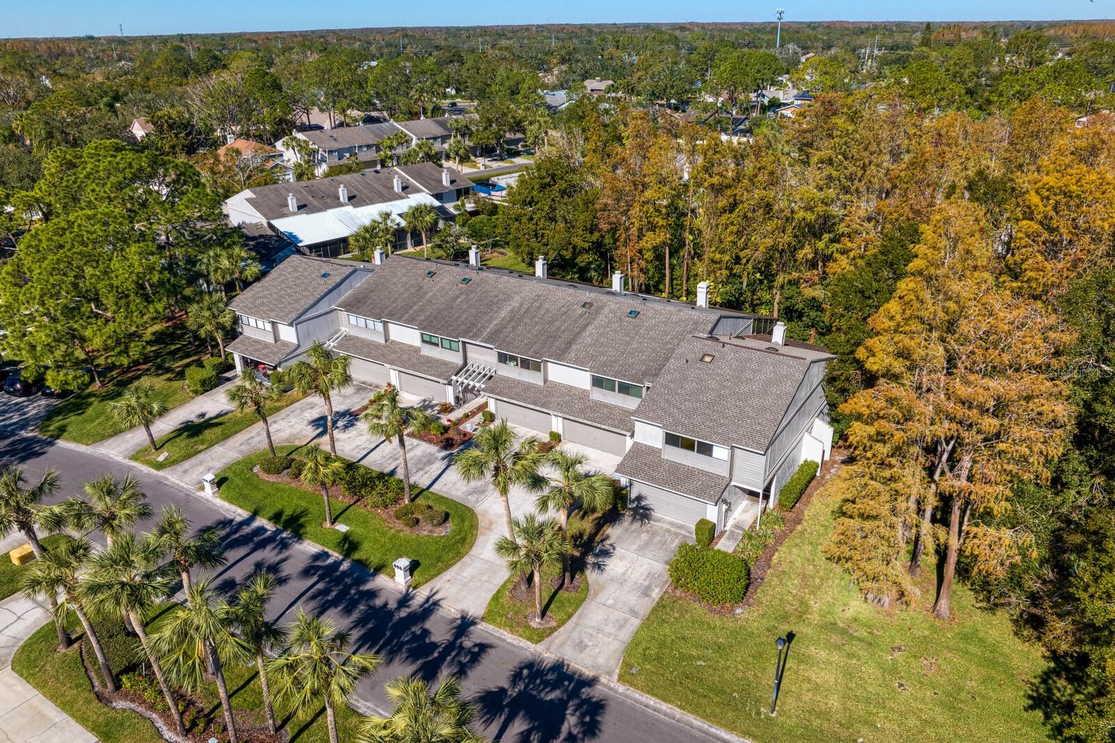 4253 GOLF CLUB LN, TAMPA, FL, 33618